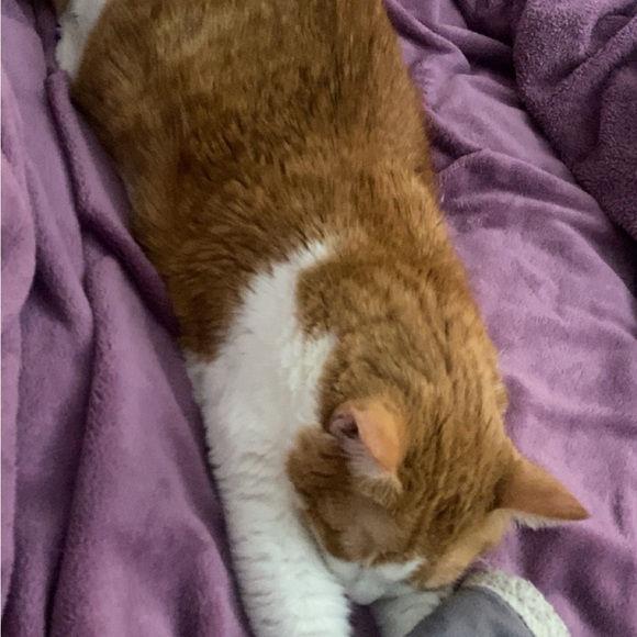 Meet your Posher, Camille - Picture 3 of 7